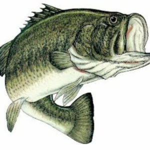 Meet your Posher, Timothy